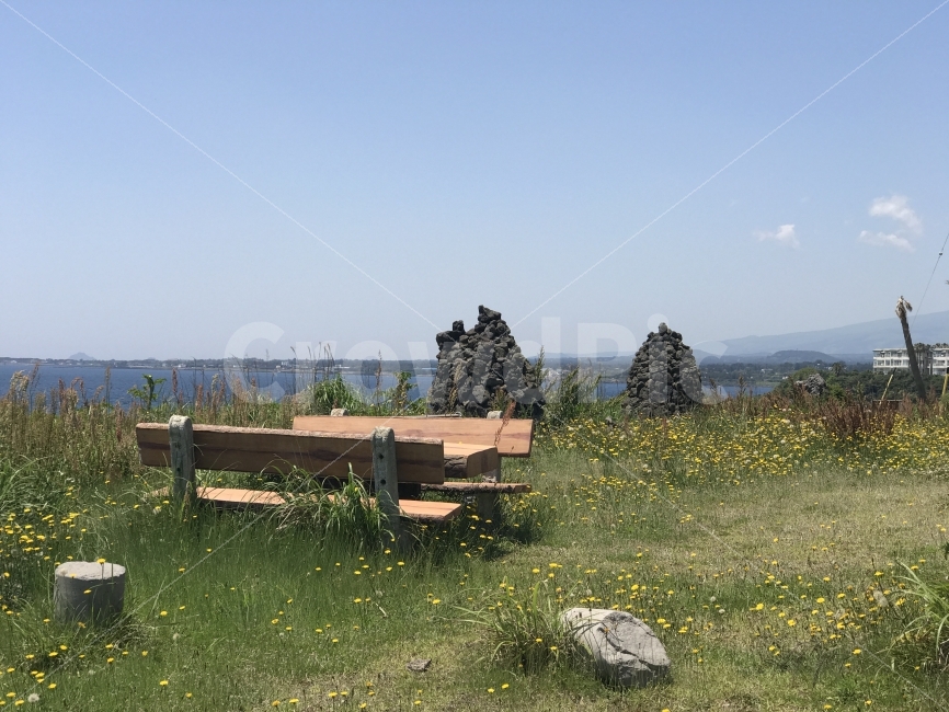 제주도,자연,무보정,바다,여유로움,자연,풍경,nature,landscape,제주도,jeju,jeju island,grassland,목초지,outdoors,옥외,field,들