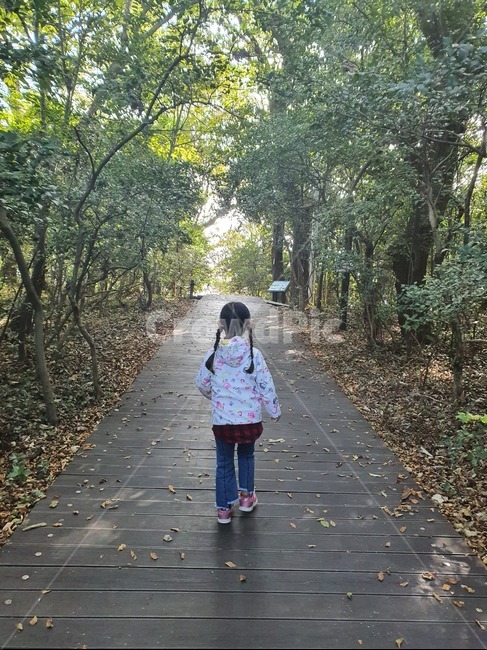 아이,뒷모습,나무,숲,의류,의복,사람,인간,사람,인물,인간,human,person,어린이,어린아이,child,children,kid