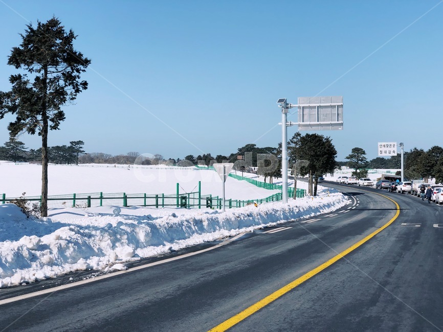 도로,제주도,겨울,눈,나무,겨울,계절,winter,season,제주도,jeju,jeju island,road,highway,고속도로,freeway,고속 도로,asphalt,아스팔트,tarmac,타맥