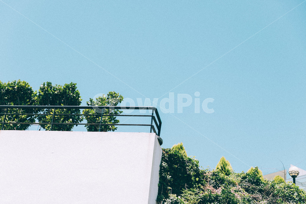 하늘,식물,흰벽,정원,맑은하늘,감성,sky,plant,wall,garden,bluesky,자연,풍경,nature,landscape,handrail,난간,banister,railing