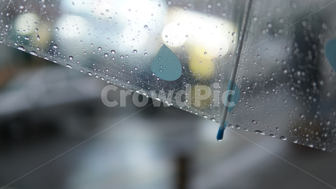 비,우산,빗방울,아웃포커싱,물방울,비,비오는날,rain,rainy