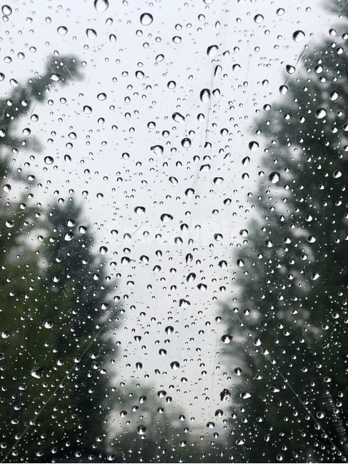 비,비오는날,우산,우산속,빗방울,분위기,가을,겨울,비,비오는날,rain,rainy