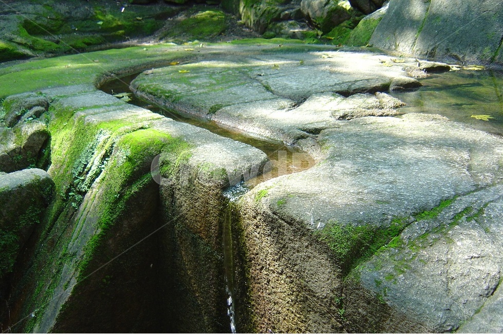 창덕궁,옥류천,창덕궁후원,소요암,인조,자연,풍경,nature,landscape,plant,식물,algae,조류
