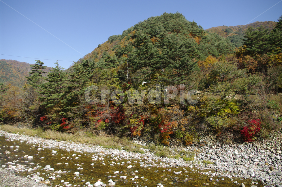 가을,산,강,풍경,단풍,가을,계절,fall,autumn,season,nature,자연,gravel,자갈,dirt road,흙길,road,도로,outdoors,옥외