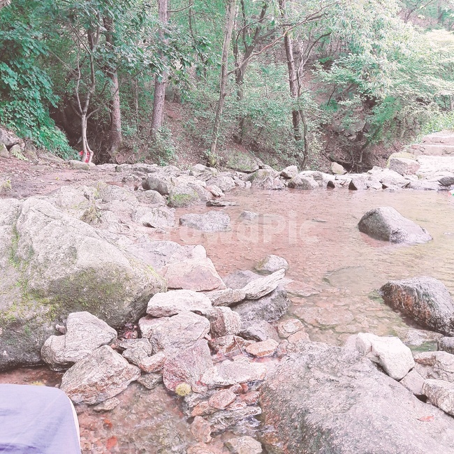 냇가,물,돌,나무,개울,야외