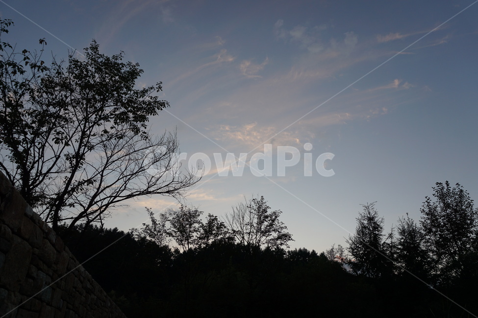 nature,자연,옥외,하늘,구름,노을,sky,자연,풍경,nature,landscape,outdoors,silhouette,실루엣