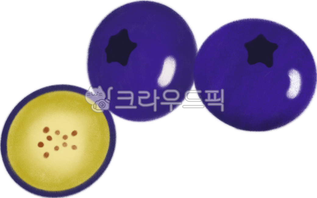블루베리,베리,열매,과일,슈퍼푸드,블랙푸드,일러스트,과일일러스트,블루베리일러스트,블루베리그림,디저트,후식,푸드,블루베리드로잉,blueberry,food,fruit,berry