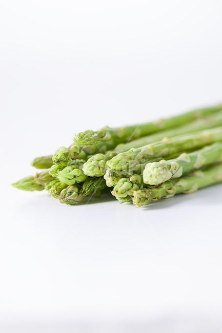 아스파라거스,asparagus,아스파라거스누끼,누끼,채소,plant,식물,vegetable,야채,food,식품,채소,야채,vegetables