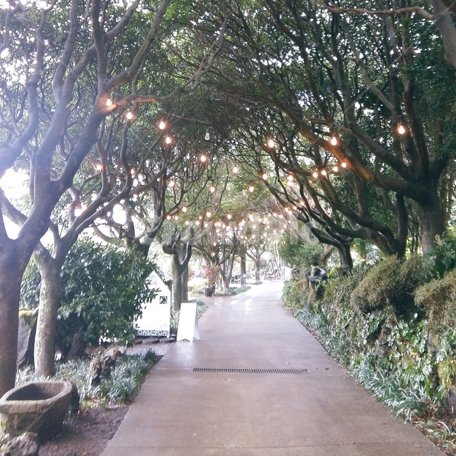 풍경,나무,풀,tree,scenery