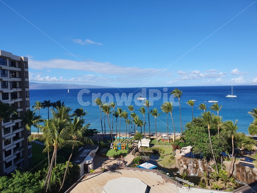 하와이,마우이,리조트,전망,뷰,hawaii,maui,westinmaui,여름,summer,바다,하늘,구름,나무,호텔,푸른하늘,파란바다,tree,nature