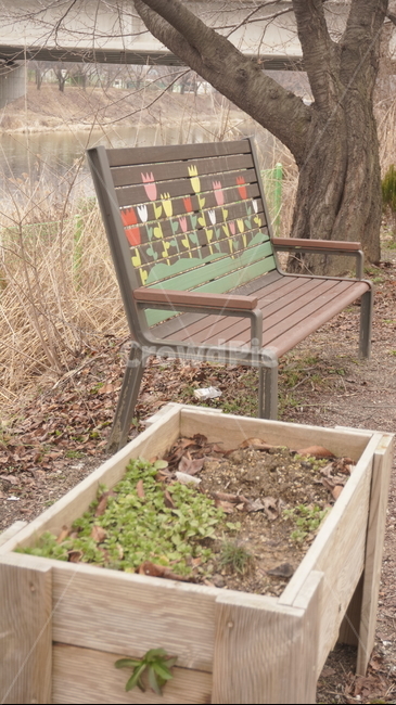 벤치,나무,자연,풍경,식물,화분,의자,의자아트,꽃그림,bench