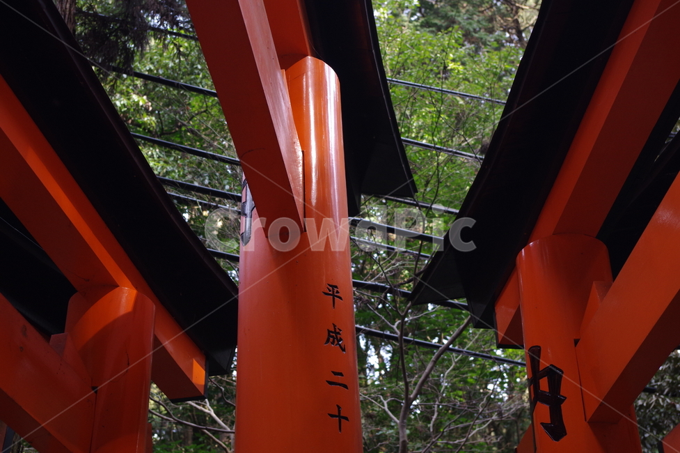 교토,도리이,후시미이나리신사,신사,kyoto,해외,외국,세계,foreign,oversea,world,종교,신앙,religion,belief,faith