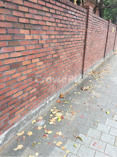 담,거리,낙엽,도로,자연,풍경,보도블럭,생활,wall,street,sidewalkblock,nature,scenery,deciduous,tree,life,brick,벽돌,벽