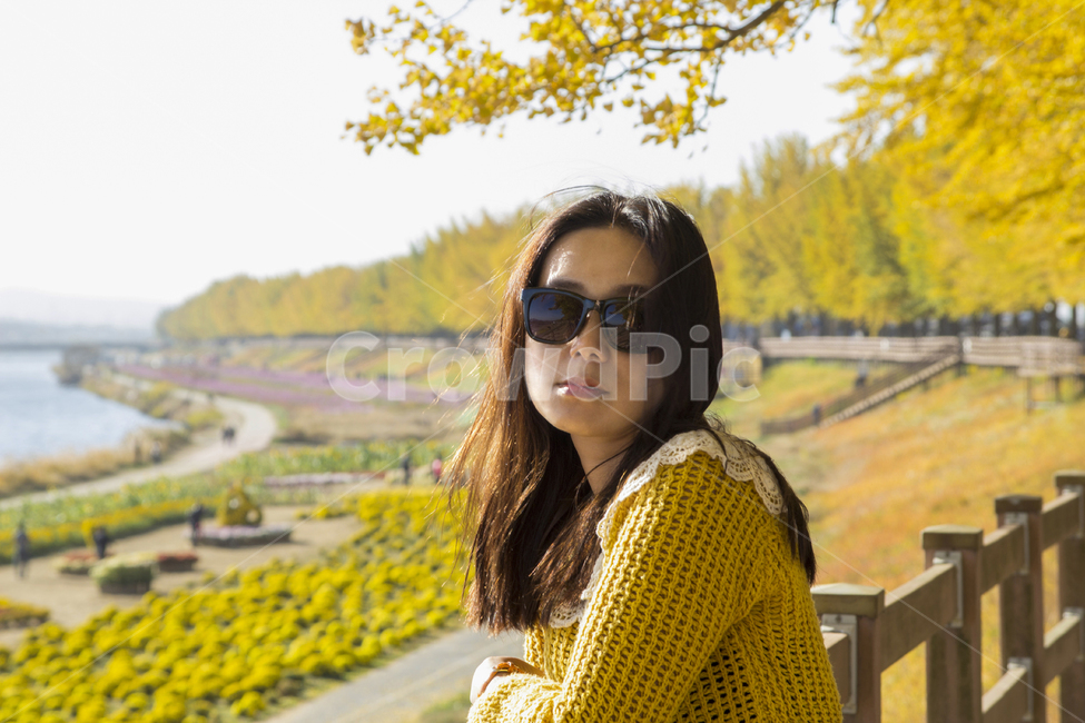 가을,여자,여인,은행나무,은행나무길,꽃,러브,하늘,선글라스,노랑,lady,women,감성사진,여행,나무,힐링,공원,park,소녀,계절,season,사람,people,모델,뒷모습,은행잎,풍경,도시,강,배경,단풍,선명한,화사한,fall,autumn,식물,자연,plants,nature,trees,wood,인물,인간,human,person,여성,woman,female,고독함,외로움,쓸쓸함,우울함,슬픔,lonely,solitarytreeplant,가을,계절,fall,autumn,season,사람,인물,인간,human,person,얼굴표정,facial expression,face,여성,여자,woman,female,lady,sunglasses,색안경,sleeve,소매,sweater,스웨터