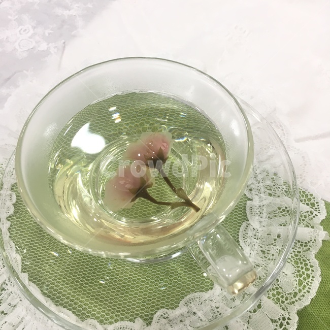 찻잔,벚꽃차,꽃차,식용꽃,왕벚꽃차,레이스,tea,flower,flowertea,teacup,lace