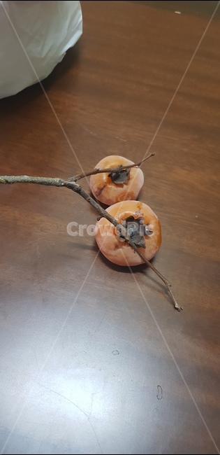 과일,fruit,식품,감,food,가을