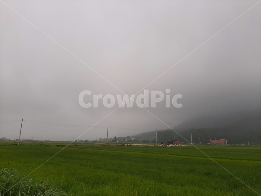nature,목초지,grassland,들,자연,우중충,흐린,구름