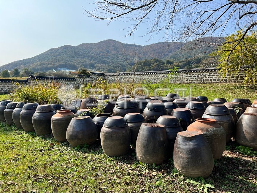 pot, 장독대, 풍경, 한국장독대, 장독, 사진,이미지,일러스트,캘리그라피 - 파비안작가