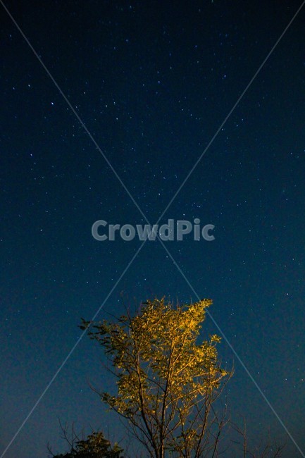 밤하늘,별,star,milyway,night,나이트뷰,여름밤,나무,밤하늘의별,풍경,운여해변,밤,새벽