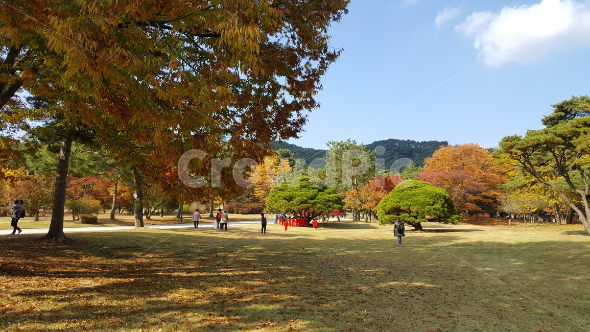 공원,나무,가을,낙엽,하늘,구름,그늘,형형색색,휴식,힐링,park,fall