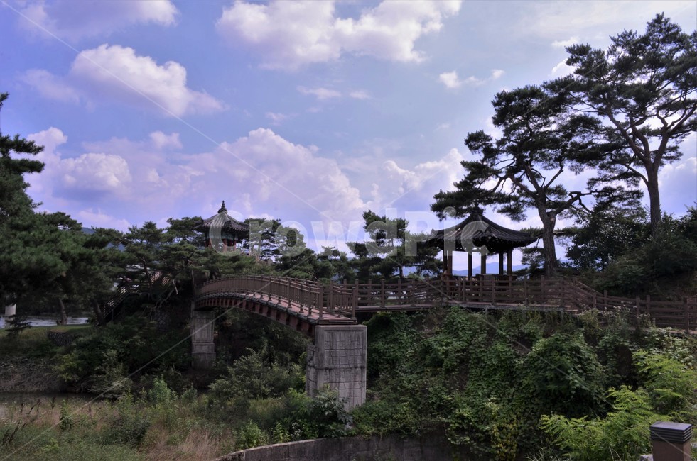 강선대,향토유적,양산팔경,양산8경,금강,소나무,절경,구름,구름풍경,자연,풍경,nature,landscape,한국자연풍경,한국자연경관,korea nature landscape,한국전통,한국문화,korean traditional,korean culture,outdoors,옥외,building,건물