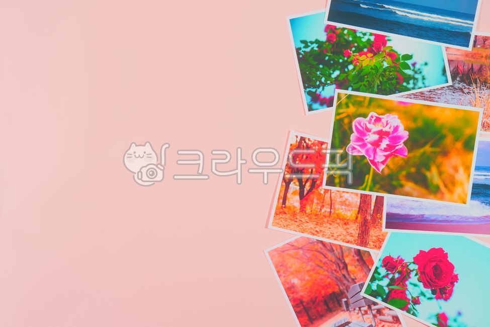 photo card,pink,memory,postcard photo,collage,color,postcard design,Postcard,background image,photo album,advertisement,Emotion,photo collection,image,skin color,album,pink background,photoalbum,collection,picture,background,Photo collection,photocard,hue