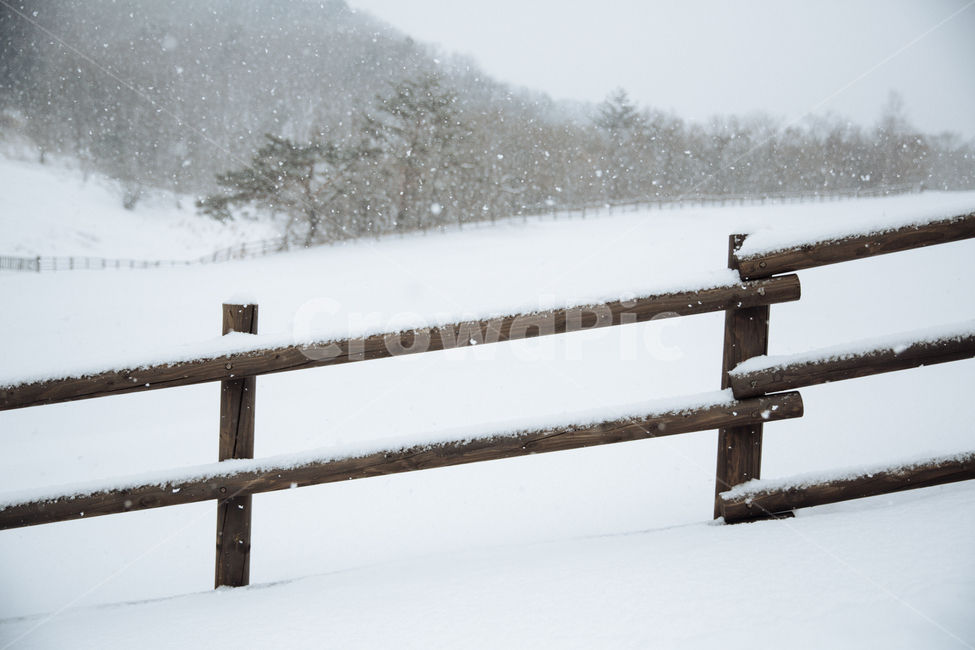 겨울,눈,풍경,감성,스냅,겨울,계절,winter,season,자연,풍경,nature,landscape,banister,난간,handrail