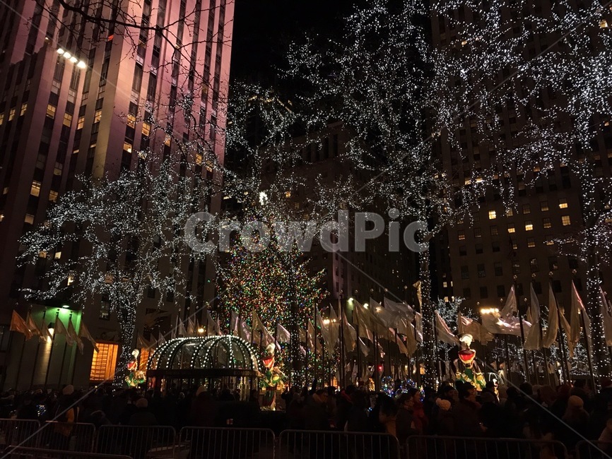 조명,lighting,newyork,centralpark,icelink,야경,밤,풍경,nightscape,night,landscape,세계도시풍경,해외도시풍경,외국도시풍경,world cityscape