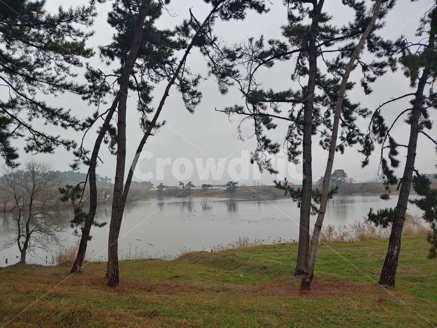 호수,나무,풍경,자연,흐린,lake,자연,풍경,nature,landscape,tree,plant,식물,tree trunk,나무 줄기