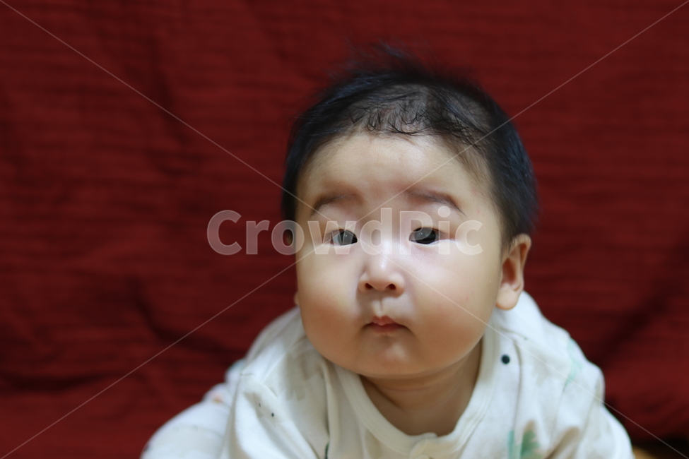 아들,아기,웃음,행복,가족,사랑,호기심,사람,인물,인간,human,person,영유아,아기,애기,아이,infants,baby