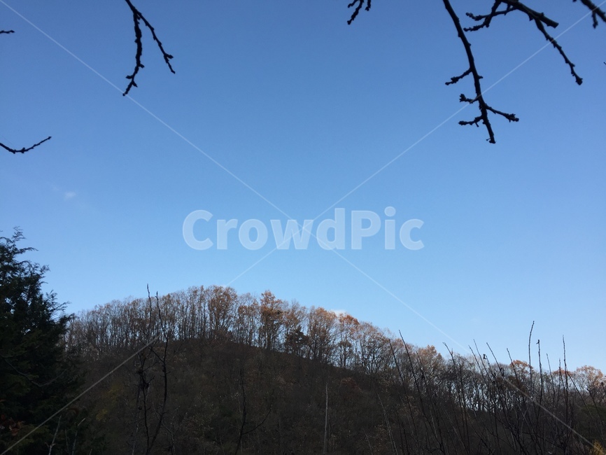 풍경,산,하늘,자연,나무,배경