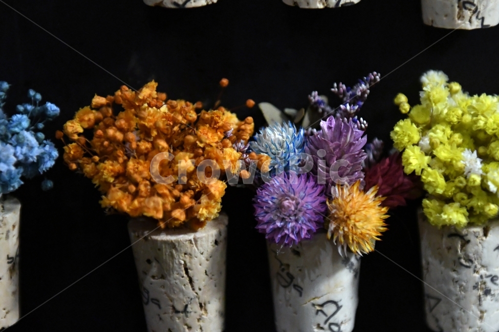 안개꽃,꽃,감성사진,감성,식물,자연,플라워,감정,색깔,색채,색감,칼라,flower,꽃다발,인테리어,소품,사물,기념일,축사,plants,배경화면,안개,보라,노랑,꽃,flower