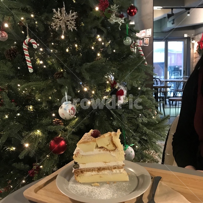 크리스마스트리,christmastree,장식,나무,tree,크리스마스