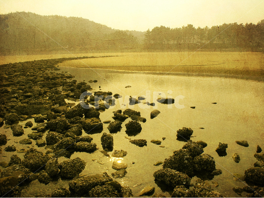 감성,빈티지,바닷가,해변,돌,올드,vintage,그리움,remember,기억,추억,회상,몽환적,안개,foggy,아침안개,해안,세피아,브라운,갈색,옐로우,풍경,아련한,백사장,모래사장,인적없는,자연,풍경,nature,landscape,해변,바다,beach,sea,outdoors,옥외,land,땅,water,물,경치,scenery