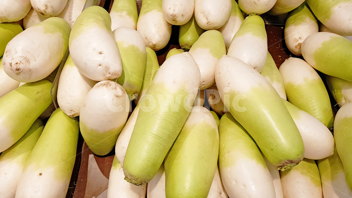 채소,야채,무,무우,fresh,프래쉬,프레쉬,먹거리,음식,신선함,생무,라디쉬,radish,신선,김장,깍두기,음식,식재료,요리,food,cook,meal,dishes,food reserves,채소,야채,vegetables