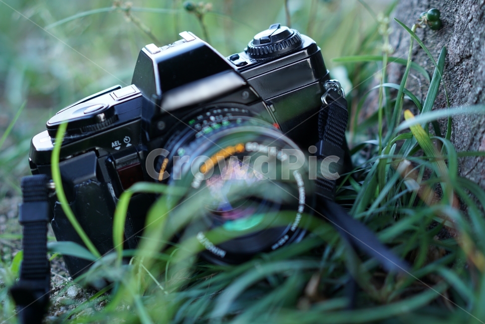 카메라,필름,초록,사진기,아날로그,camera,사진작가,포토그래퍼,photographer,감성,sensible,feeling,사물,물건,오브젝트,thing,object,matter