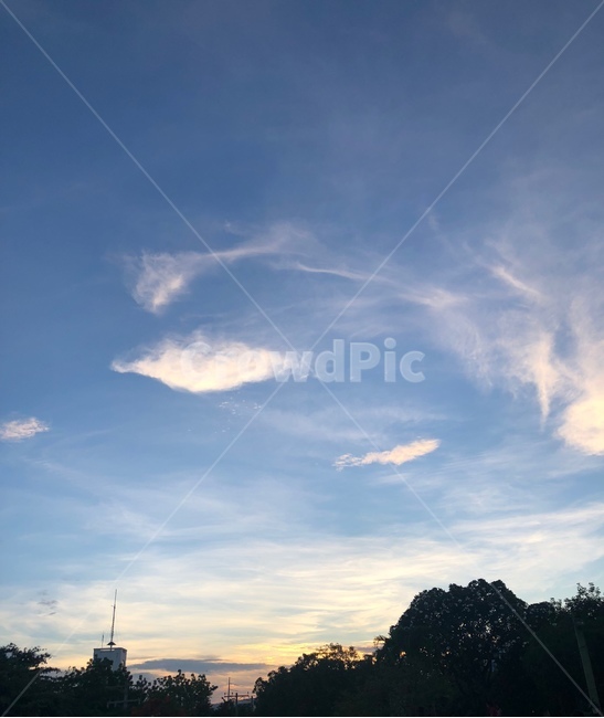 하늘,노을,구름,cloud,솜털구름,nature,자연,화창한,오후,해질녘