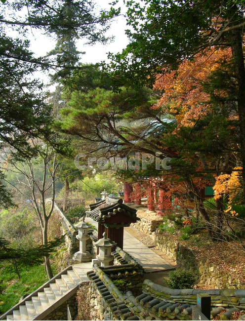 지리산,산,숲,자연,풍경,가을,절,종교,불교,한국,전통,대한민국,건축,건설,계단,돌탑,탑,돌,돌계단,석탑,기와,기와지붕,나무,단풍,쌍계사,입구,문,출입구,출입문,자연,풍경,nature,landscape,한국자연풍경,한국자연경관,korea nature landscape,plant,식물,tree