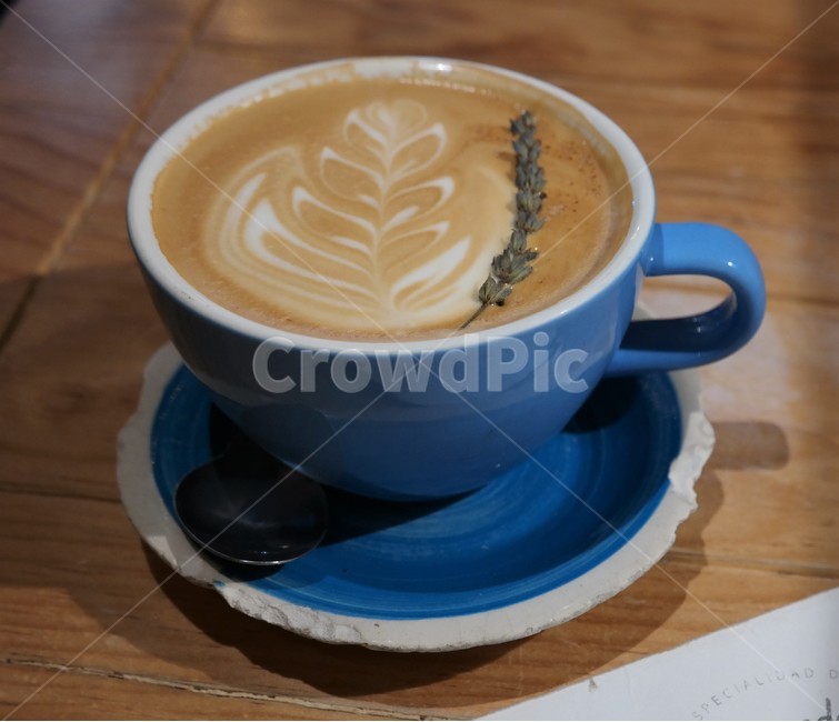 drink,beverage,마실것,cup,컵,coffeecup,커피컵,latte,라떼,커피,카페,coffee,cafe