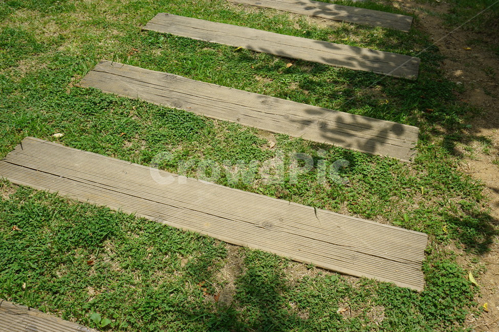 잡초,길,초록,걸음,자연,자연,풍경,nature,landscape,path,통로,walkway,보도