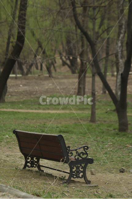 furniture,가구,bench,벤치,parkbench,공원벤치,공원,park