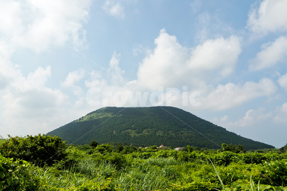 제주도,자연,풍경,jejuisland,jeju,오름,다랑쉬오름,하늘,구름,oreum,sky,cloud,자연,풍경,nature,landscape,한국자연풍경,한국자연경관,korea nature landscape,제주도,jeju,jeju island,outdoors,옥외,hill,언덕