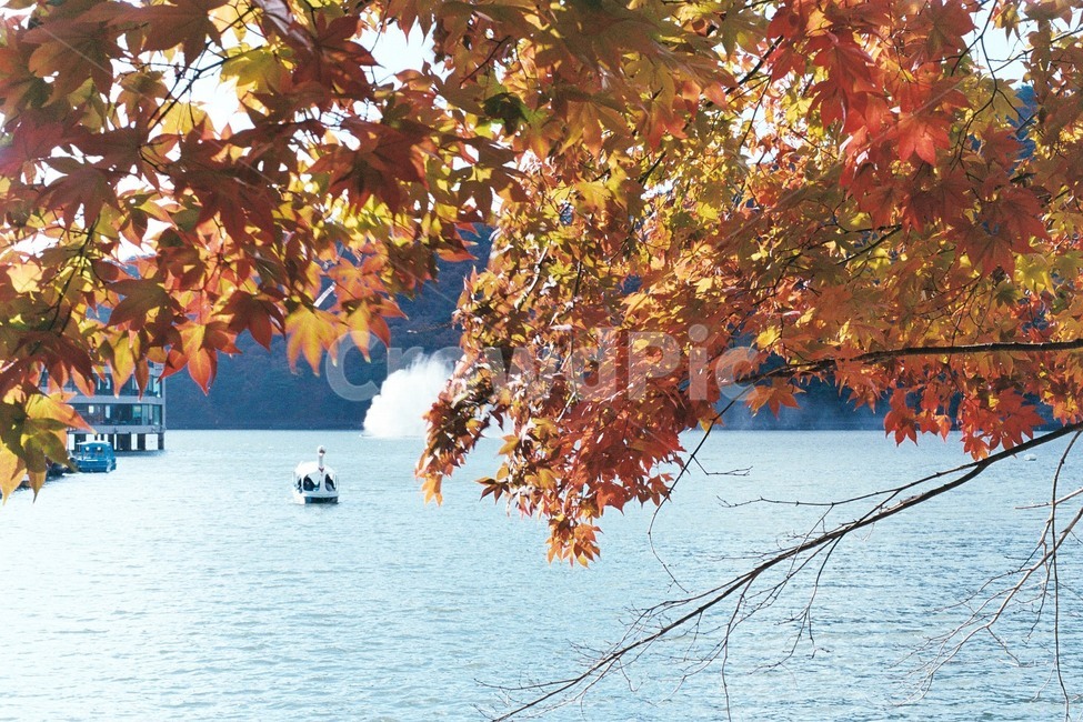 산정호수,명성산,가을,단풍,풍경,가을,계절,fall,autumn,season,자연,풍경,nature,landscape,leaf,잎,plant,식물,tree,나무,transportation,교통,vehicle,차량,boat,보트