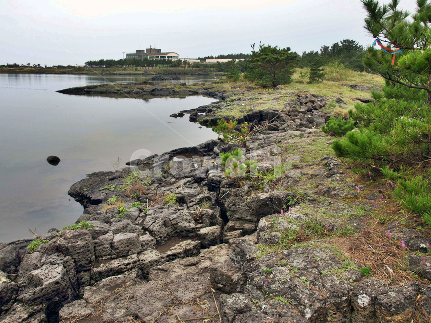 성산일출봉,제주,서귀포시,올레2코스,내수면,둑,둑방길,자연,풍경,nature,landscape,outdoors,옥외