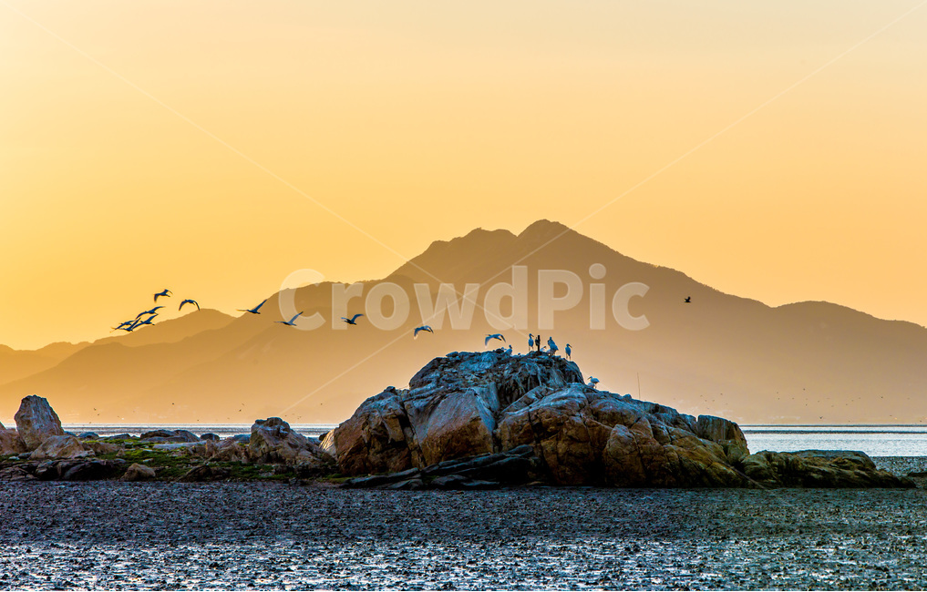 영종도,철새,낙조,풍경,환경,갯벌,석양,바닷가,자연,풍경,nature,landscape,한국자연풍경,한국자연경관,korea nature landscape,동물,animal,조류,새,birds,outdoors,옥외,land,땅,water,물,sea,바다,ocean,대양,shoreline,해안선,promontory,곶,coast,연안