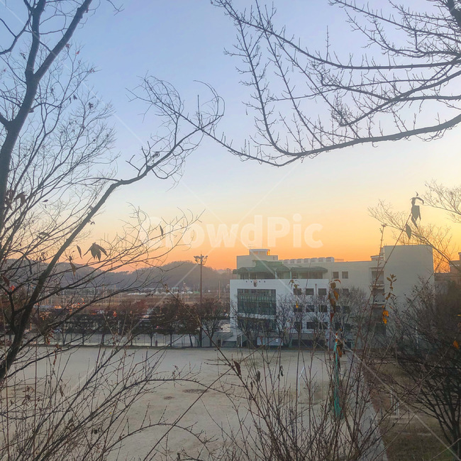 일출,sunrise,학교,대학교,감성