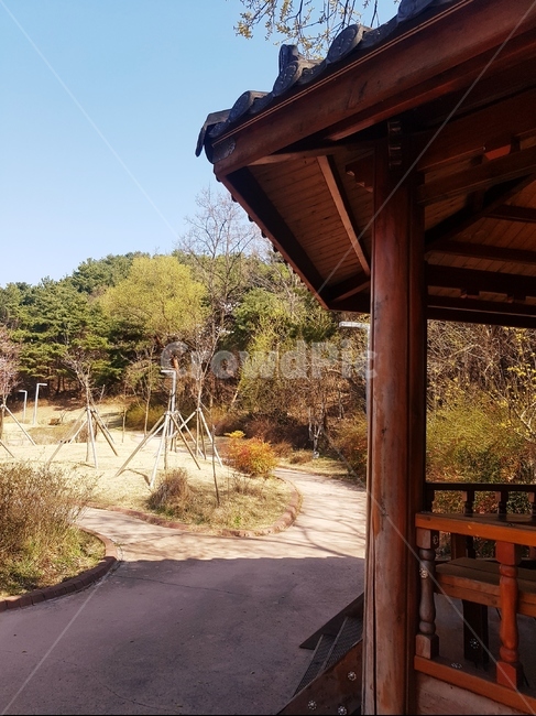 정자,육각정,쉼,의자,휴식,햇살,따뜻함,봄,바람,시원함,그늘,공원,아파트,산책로,조형물,도심속,나무,건축물,건물외관,exterior,building,structure,architecture,construction