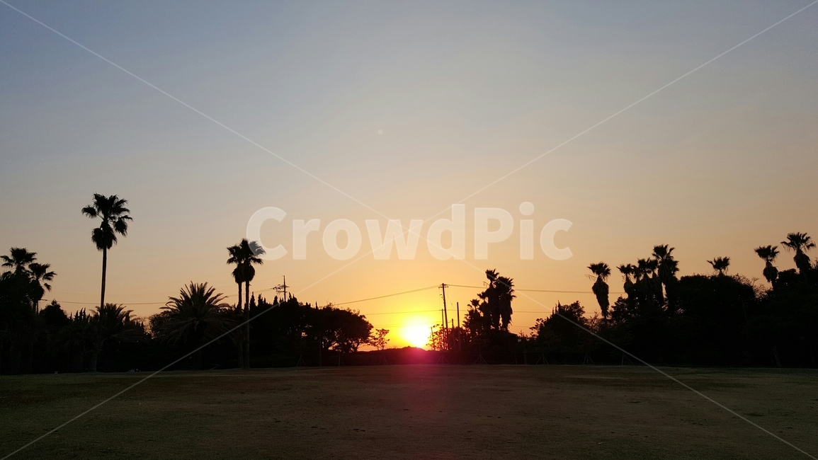 제주일출,일출,제주풍경,nature,자연,sunlight,햇빛