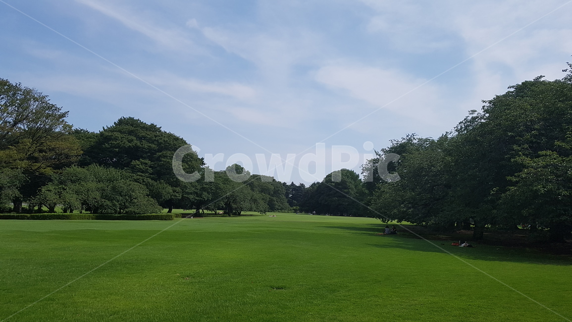 field,들,outdoors,옥외,grass,잔디,plant,식물