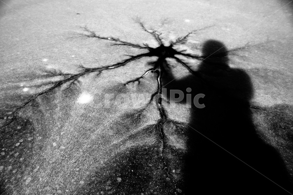겨울,얼음,얼음판,균열,그림자,감성놀이,자연,겨울,계절,winter,season,인물실루엣,사람실루엣,character silhouette,human silhouette,plant,식물
